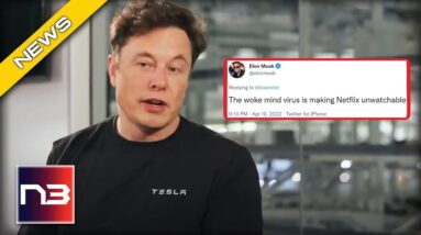 Netflix Gets KARMA For Going Woke, Then Elon Musk Hits Them With Priceless Tweet