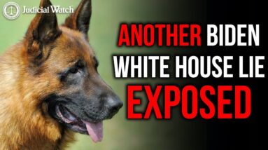 FITTON: White House Lied About Biden's Dog Biting Secret Service Agents!