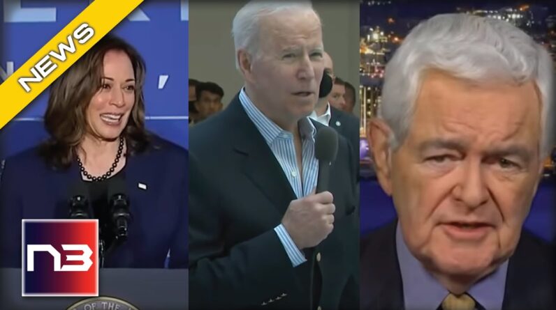 Newt Gingrich Says 2 Words About Biden And 1 About Kamala That'll Have Them Furious