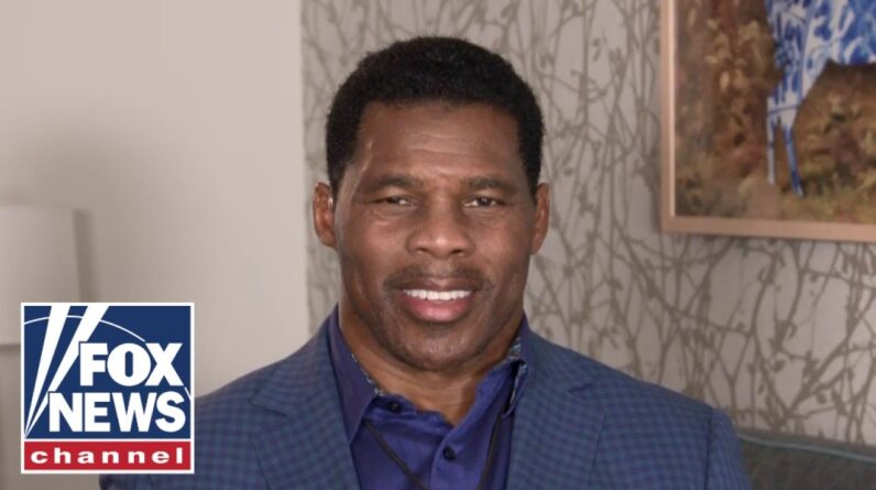 Herschel Walker doesn’t believe men should be in women’s sports