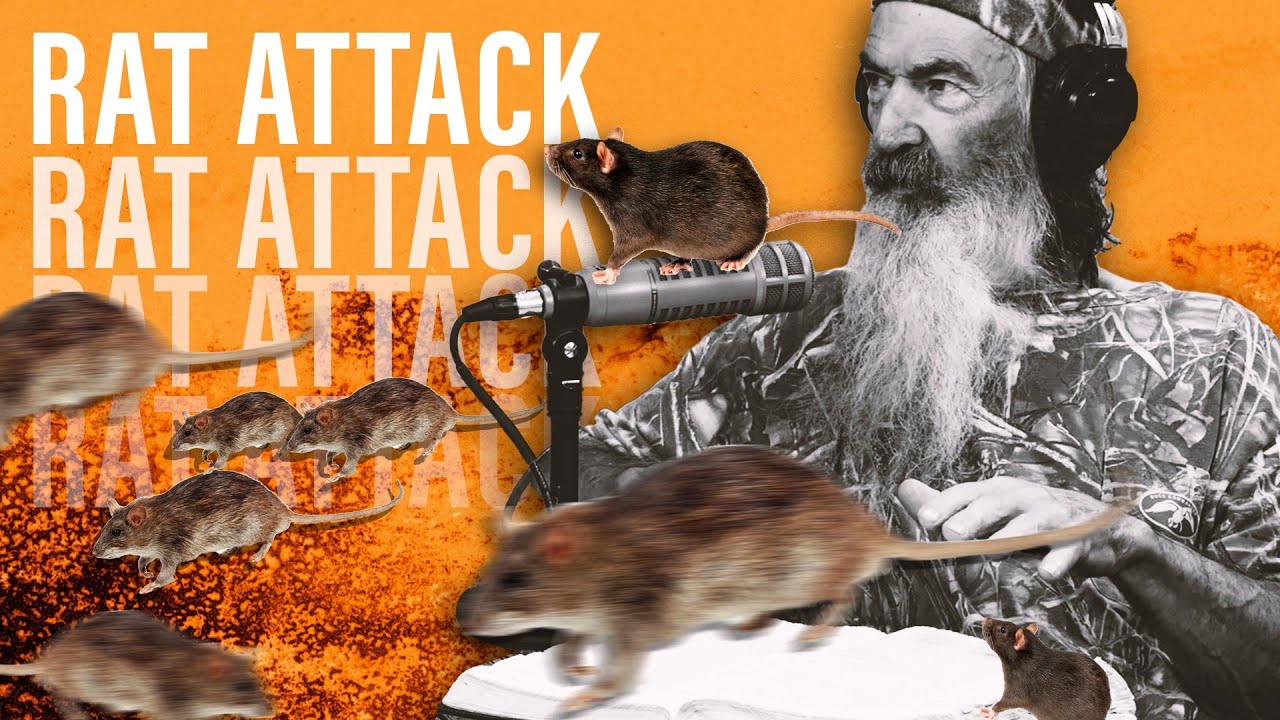 How Phil Dealt With the INVASION of Rats in His Home | @Phil Robertson