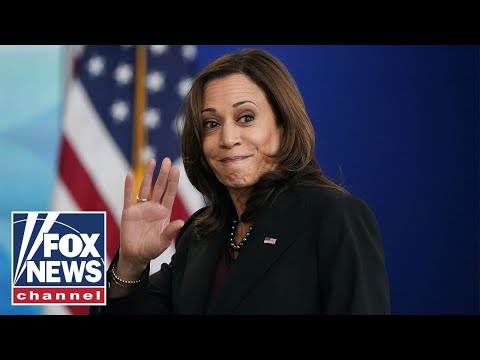 'Kamala Harris' political career is over': Leo Terrell