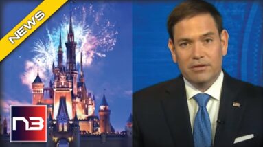 Marco Rubio SILENCES Disney! Reveals They’re The  Biggest Hypocrites EVER