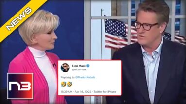 “SEWAGE:” Morning Joe RAGES After Elon Musk Tweets Something At Mika