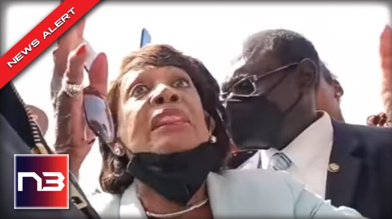 Maxine Waters Marches Into Crowd Of Homeless, What She Does Next Is OUTRAGEOUS