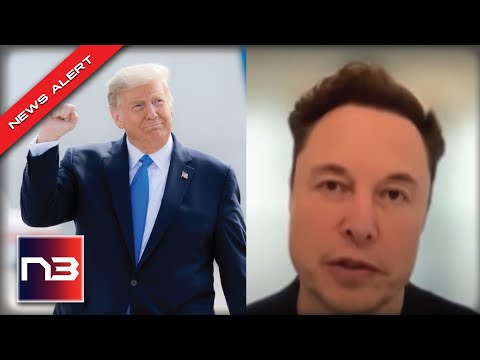 Elon Musk Makes Decision On Trump’s Twitter Ban, THIS Could Change Everything