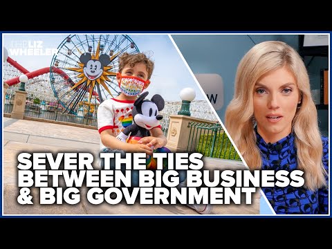 Sever the ties between big business & big government