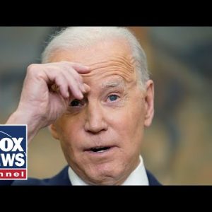 Biden official's 'liberal world order' remark goes viral