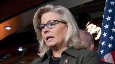 Americans saw Liz Cheney as ‘empty fraud’