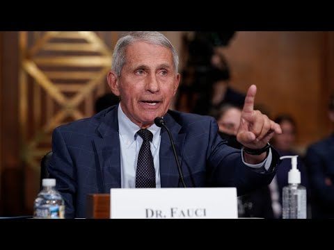 Anthony Fauci and the NIH are a ‘political unit’