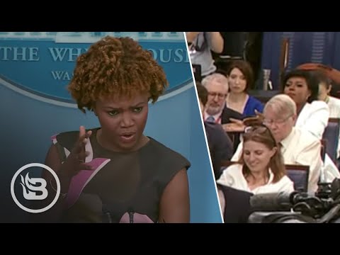 Chaos Erupts When African Reporter Accuses Press Sec. of Being Racist