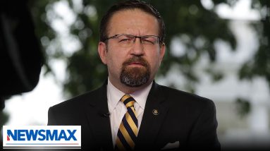 Dr. Sebastian Gorka: The credibility of Fox is in the toilet