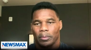 Herschel Walker: Sen. Warnock, put your big man pants on | Spicer & Co.