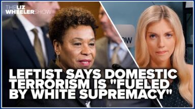 Leftist says domestic terrorism is "fueled by white supremacy"