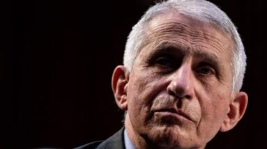 Media lets Anthony Fauci get away with ‘the massive damage he caused’
