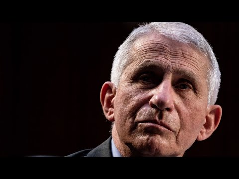 Media lets Anthony Fauci get away with ‘the massive damage he caused’