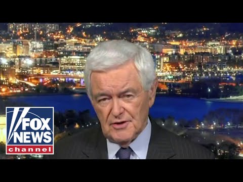 Newt Gingrich: Mar-a-Lago raid was a cry of desperation