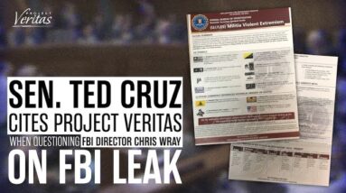 BREAKING: Sen Ted Cruz Cites Project Veritas FBI Leak When Questioning FBI Director Christopher Wray