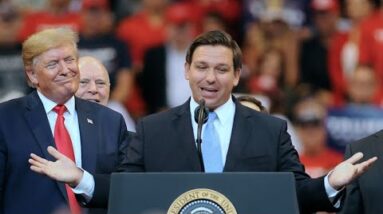 Ron DeSantis is ‘a real conservative leader with backbone’