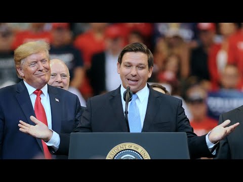 Ron DeSantis is ‘a real conservative leader with backbone’