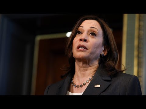 ‘Border isn’t secure’: Democrat congressman disagrees with Kamala Harris