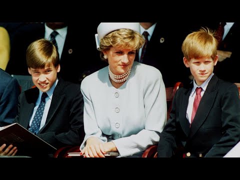 Princess Diana would’ve been the ‘perfect broker’ for Harry and William