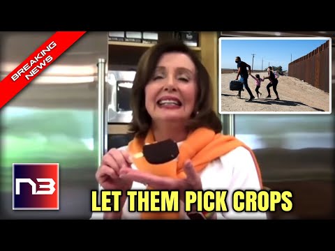 Nancy Pelosi Gets DESTROYED For Claiming Florida Needs Illegal Immigrants To Pick Crops!