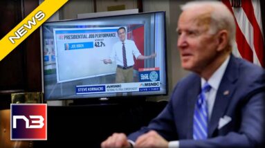 MSNBC Forced To Report SHOCKING Midterm Prediction Biden Will Hate To See