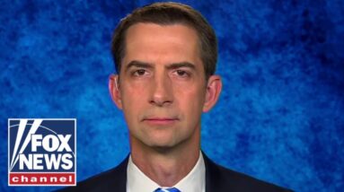 Cotton: Dictators can 'smell the weakness' from Biden