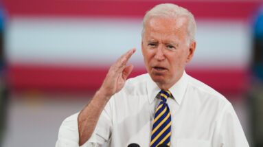 Joe Biden can’t 'get through a sentence’ let alone ban assault rifles