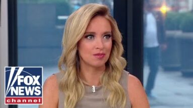 McEnany: Democrats don’t want free thinkers