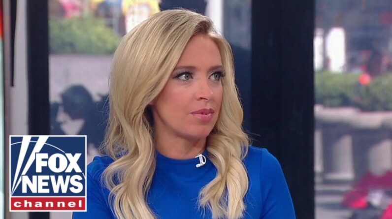 McEnany roasts Kamala Harris: 'Hello pot, meet kettle'