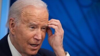 'Such a joke': Media 'not reporting the truth' to Americans about Biden's mental decline