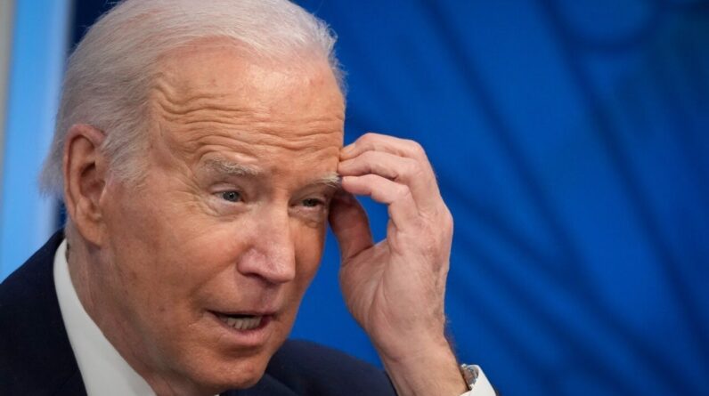 'Such a joke': Media 'not reporting the truth' to Americans about Biden's mental decline