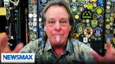 Ted Nugent: This narrative is 'braindead'