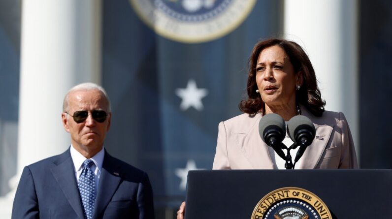 Tulsi Gabbard rips into Kamala Harris and the 'woke' Dems