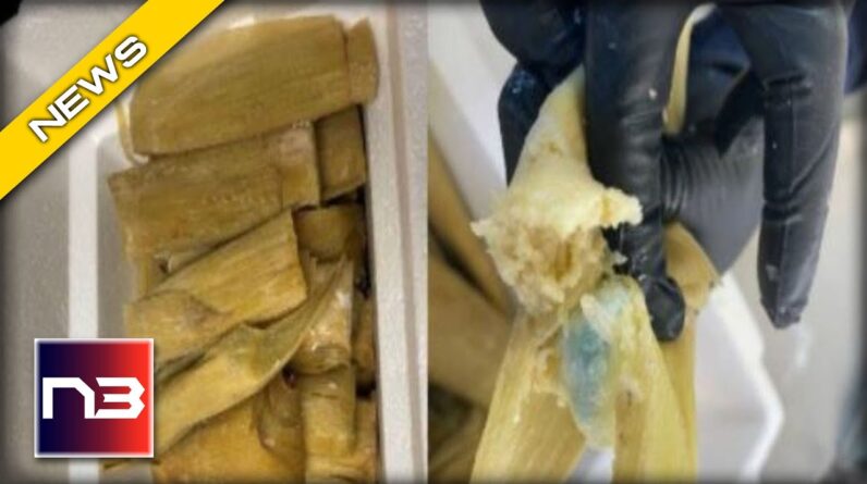 You Won't Believe What This Drug Smuggler Did To Get Fentanyl Into The US!