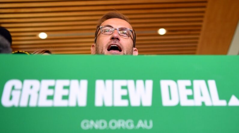 Greens members ‘pretend’ to be climate activists