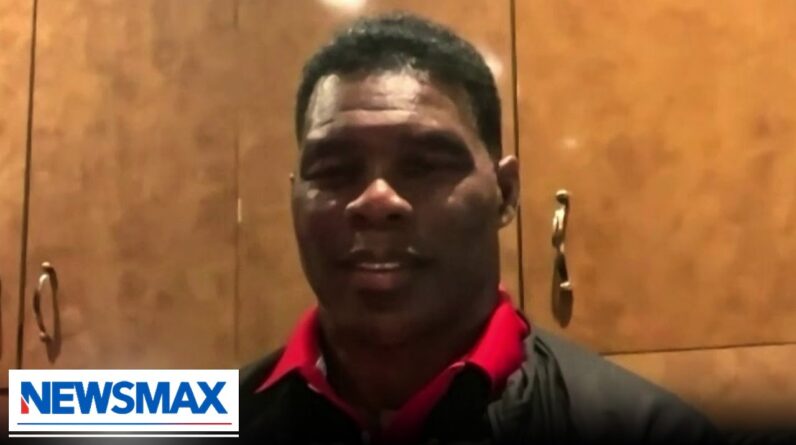 Herschel Walker: I've been transparent my whole life