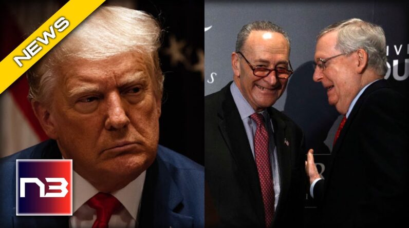 MAGA Purge Begins As Top Swampers Schumer and McConnell Join Forces To Crush The Will of The People