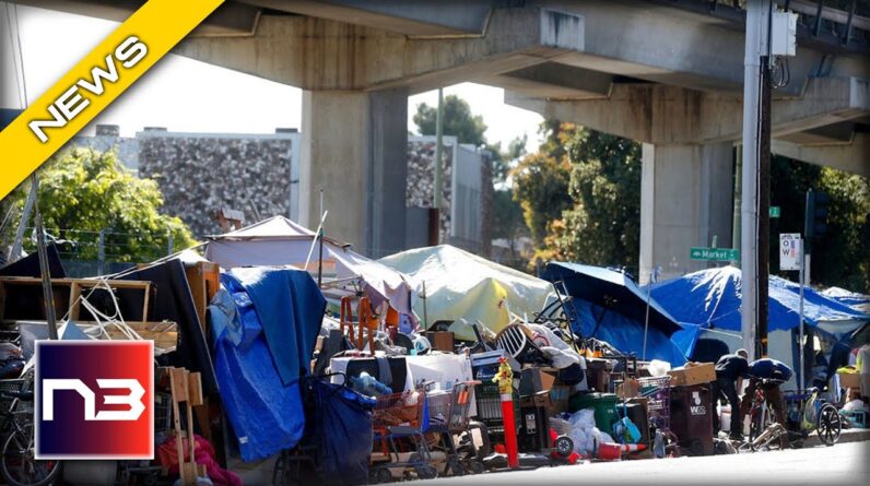 Homeless Encampments in San Francisco Cannot be Removed