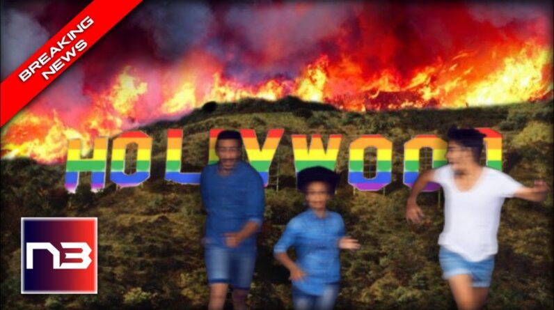 Hollywood HORRIFIED After Bloodbath Shows Their Woke Agenda is Collapsing The Industry