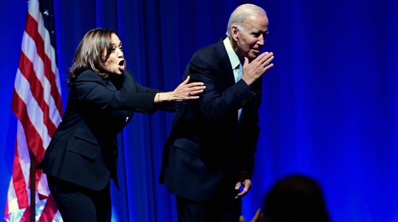 Joe Biden seems to be 'losing his mind'