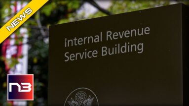 Democrat Lawmaker Tries To Justify IRS’ Lavish Billions In Budget Increase