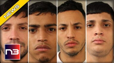 Chaos Breaks Out The Second These Illegals Step Foot in NYC