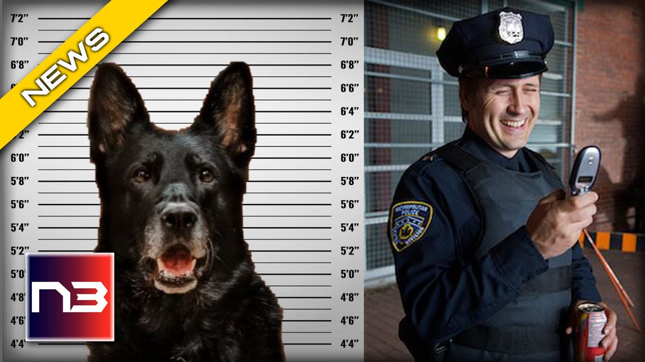 Outrageous! Mugshot of a K-9 Goes Viral After Stealing Officer's Lunch?