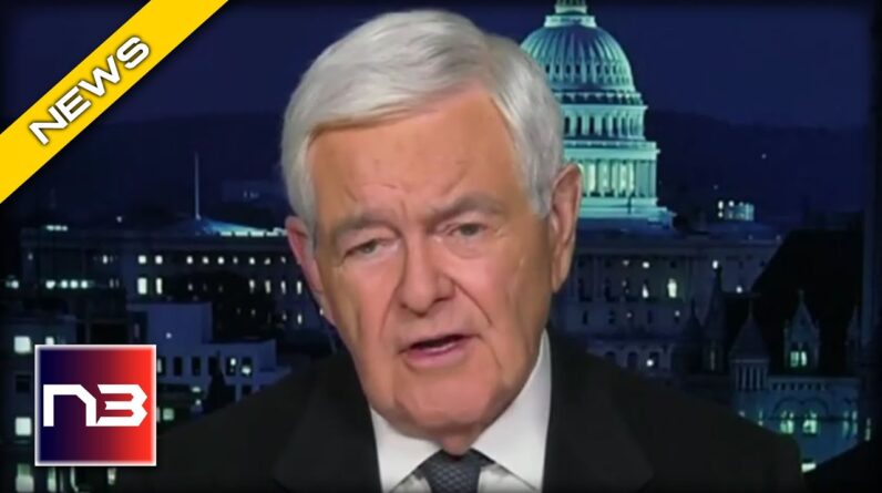 Newt Gingrich Reveals the Most CORRUPT and DANGEROUS Executive Branch in U.S. History