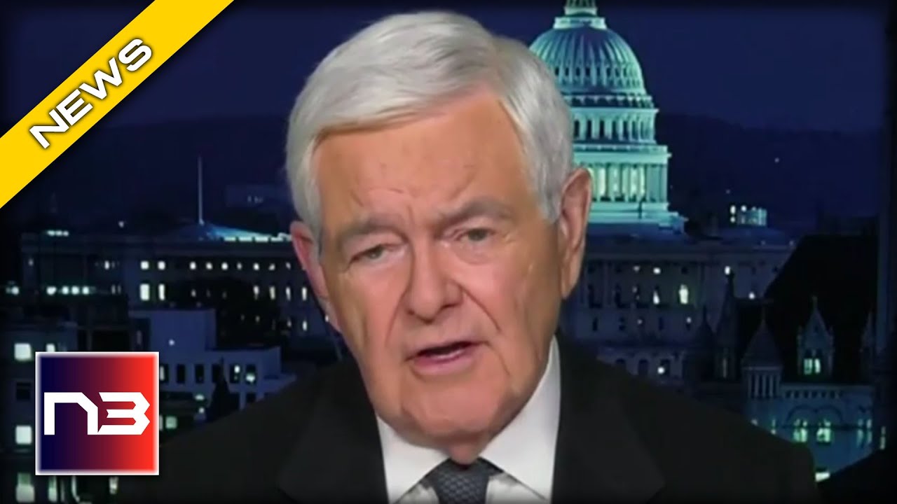 Newt Gingrich Reveals the Most CORRUPT and DANGEROUS Executive Branch in U.S. History