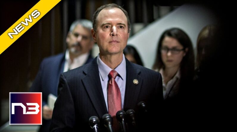 Schiff Openly Lies About Democrat Top Priority Issue