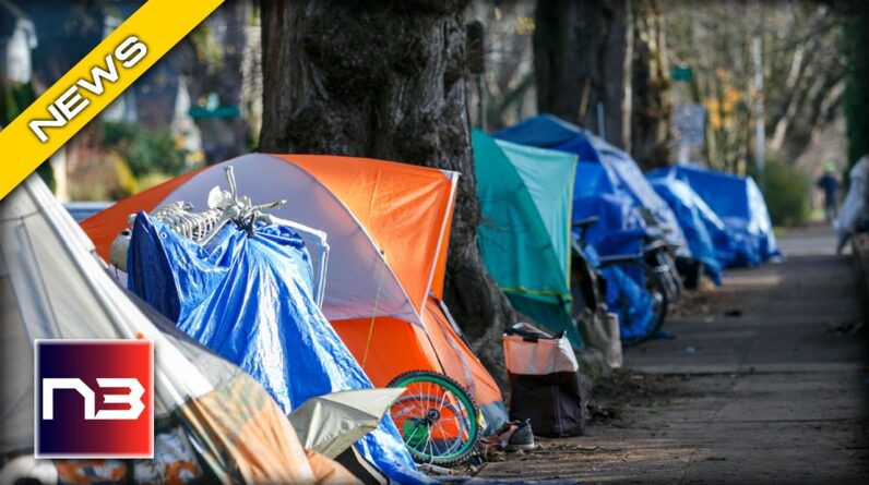 Crisis Worsens in Asheville: Local Homeless Camps Scorch City With Massive Trash Mountains!